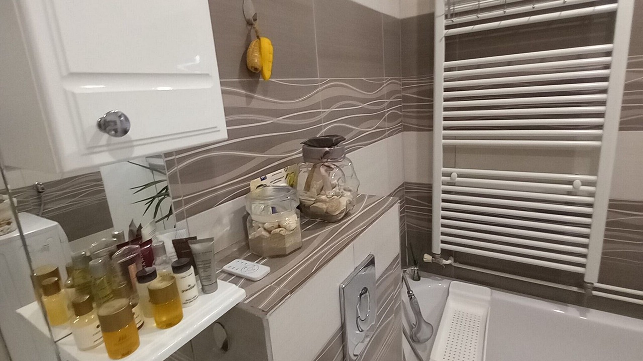 Photo of Bathroom in Plaski