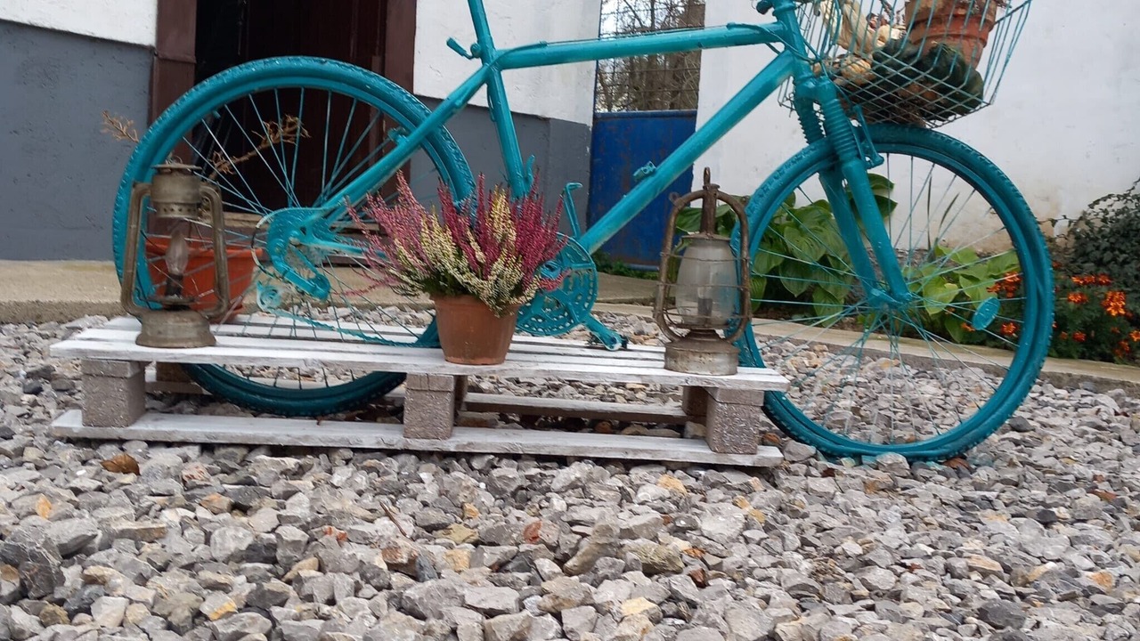 Photo of Outdoor in Plaski