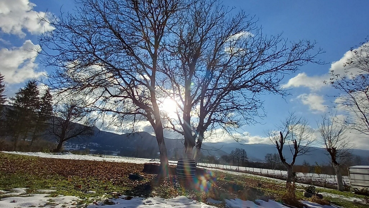 Photo of Outdoor in Plaski