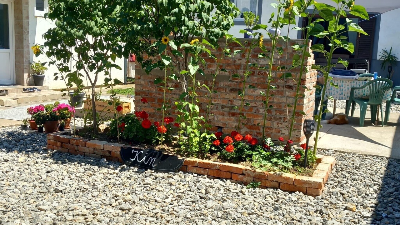 Photo of Outdoor in Plaski