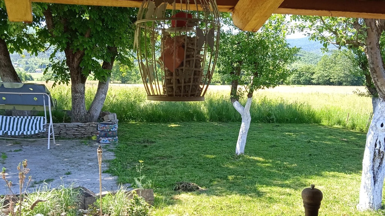 Photo of Outdoor in Plaski