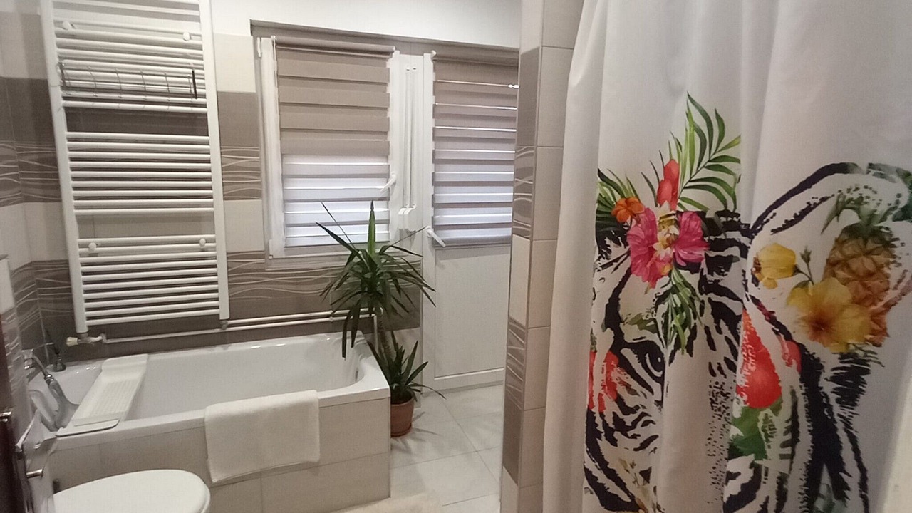 Photo of Bathroom in Plaski
