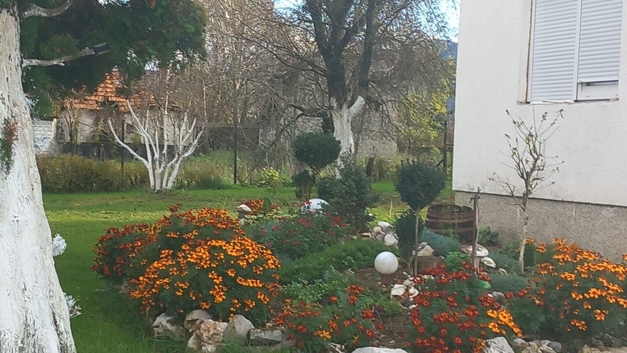 Photo of Outdoor in Plaski