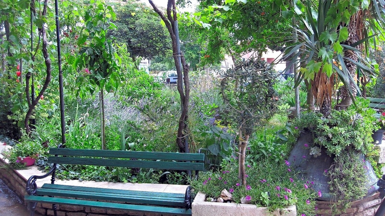 Photo of Outdoor in Mrljane
