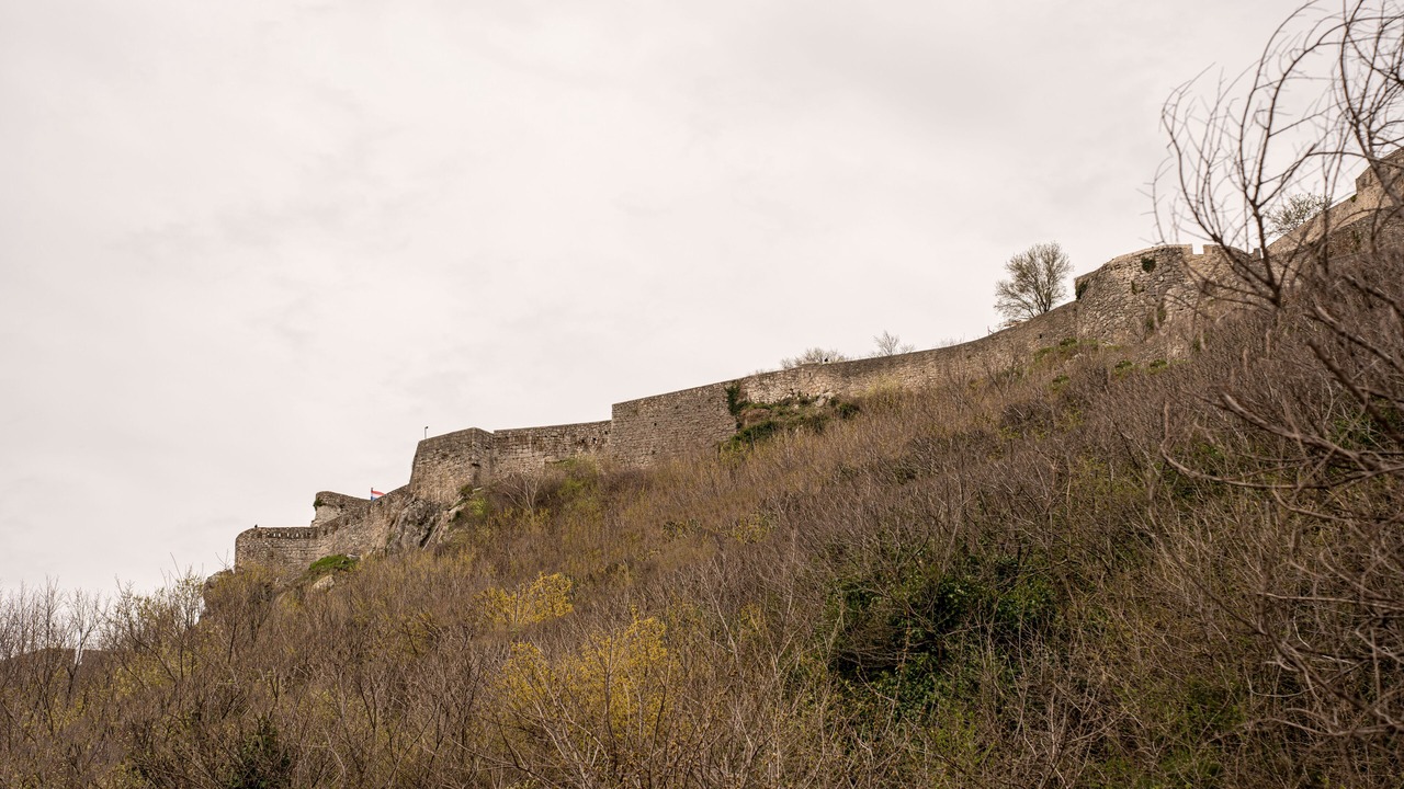 Photo of Others in Cove Parja