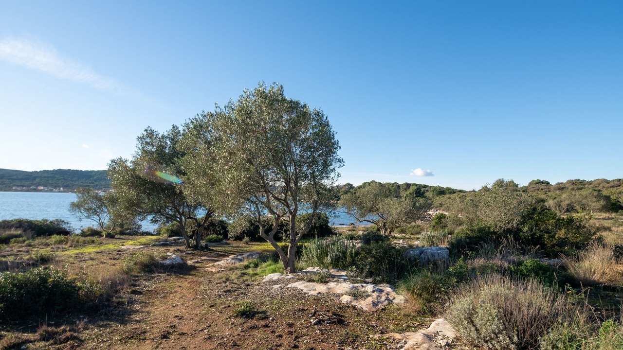 Photo of Outdoor in Susica