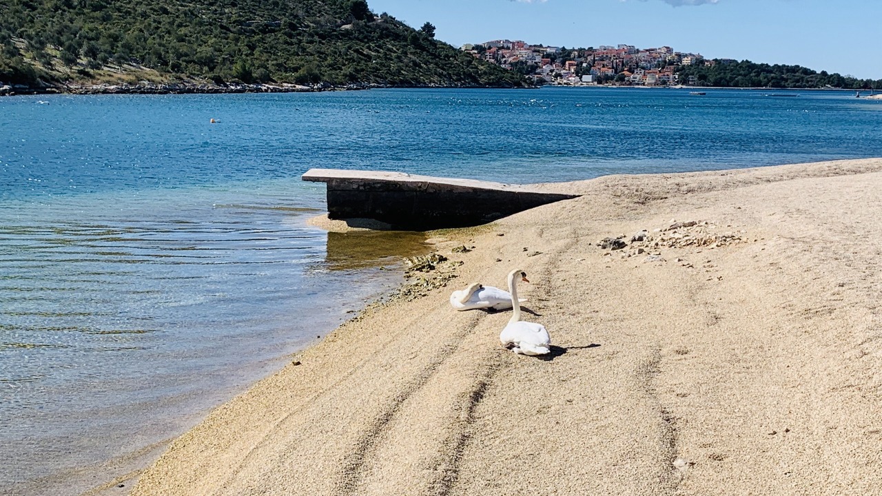 Photo of Others in Podglavica