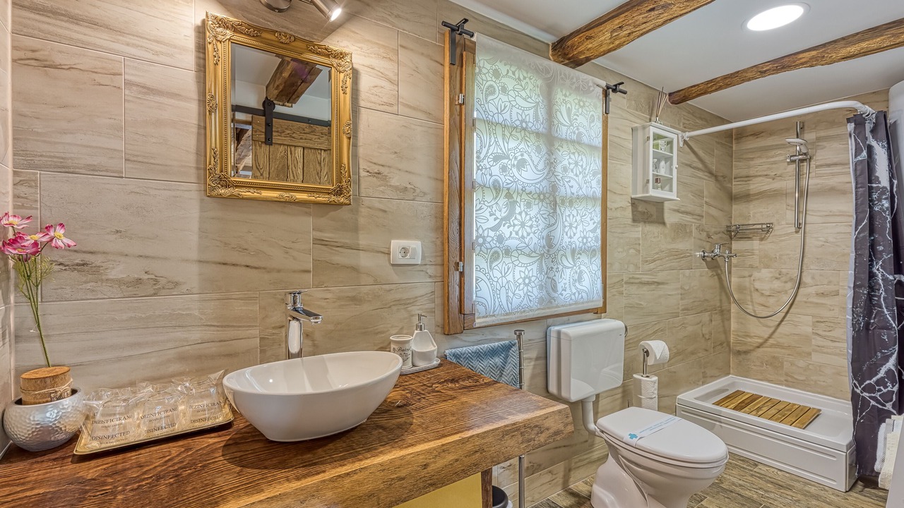 Photo of Bathroom in Sveti Ivan Zelina