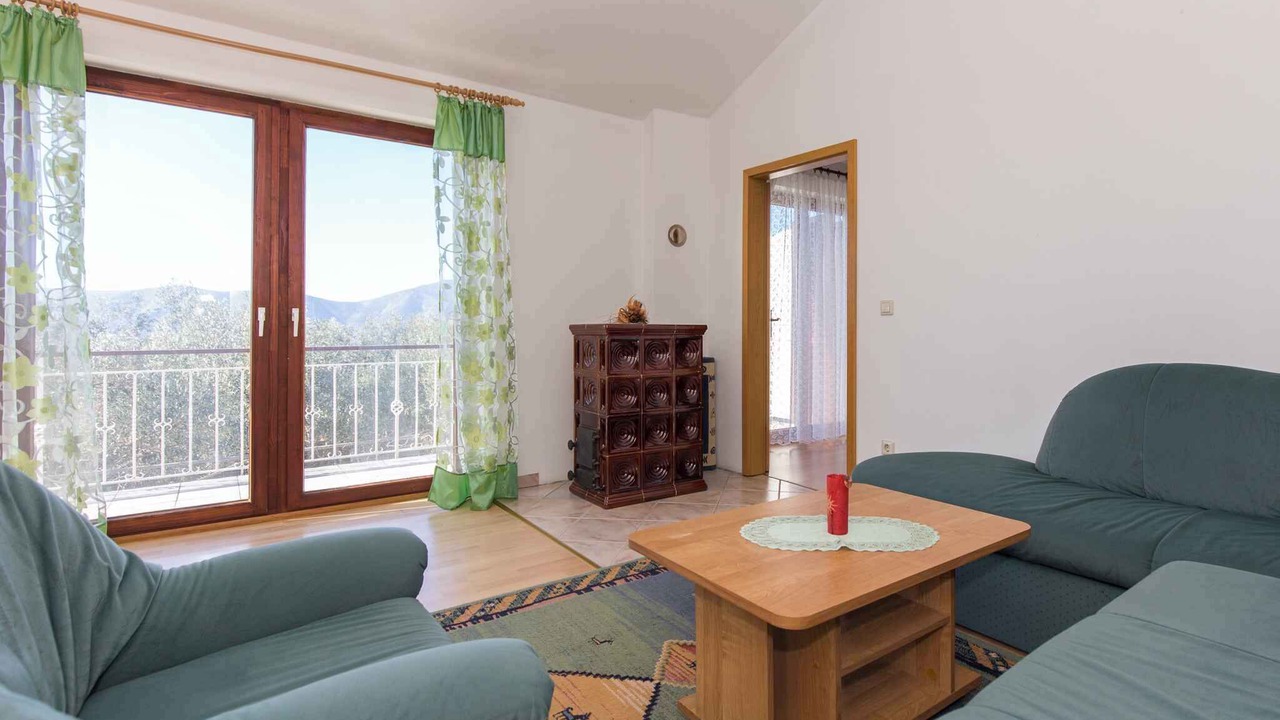 Photo of Livingroom in Brzac