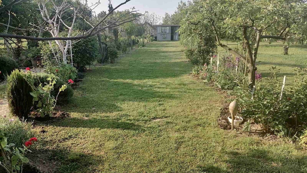 Photo of Outdoor in Erdut