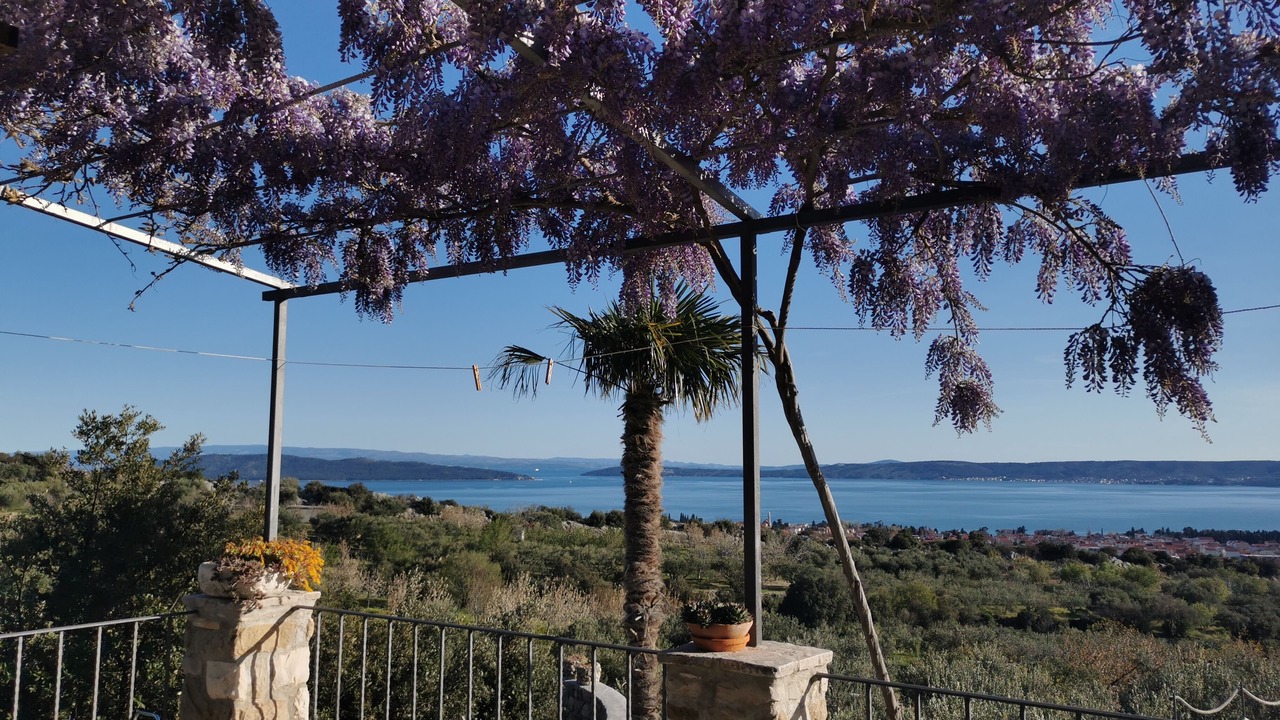 Photo of Outdoor in Kastel Luksic