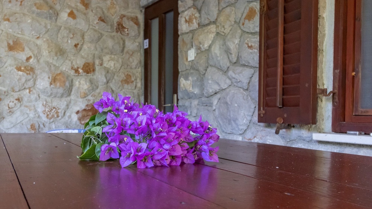 Photo of Outdoor in Cove Murtar