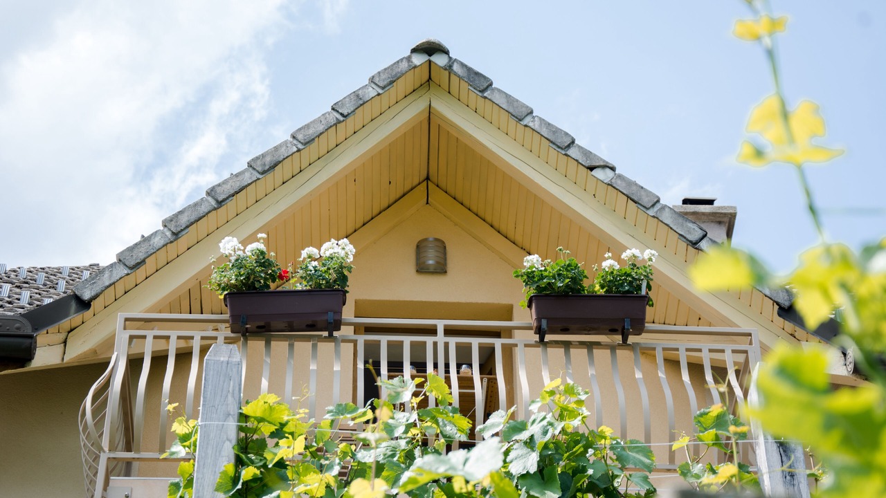 Photo of Outdoor in Semic