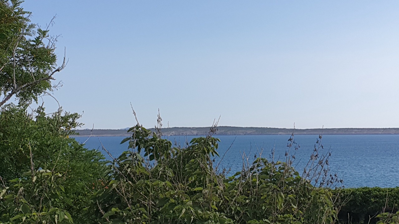Photo of Others in Rtina