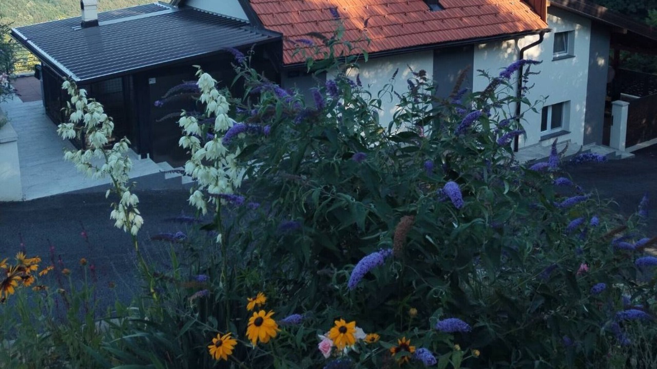 Photo of Outdoor in Varazdinske Toplice