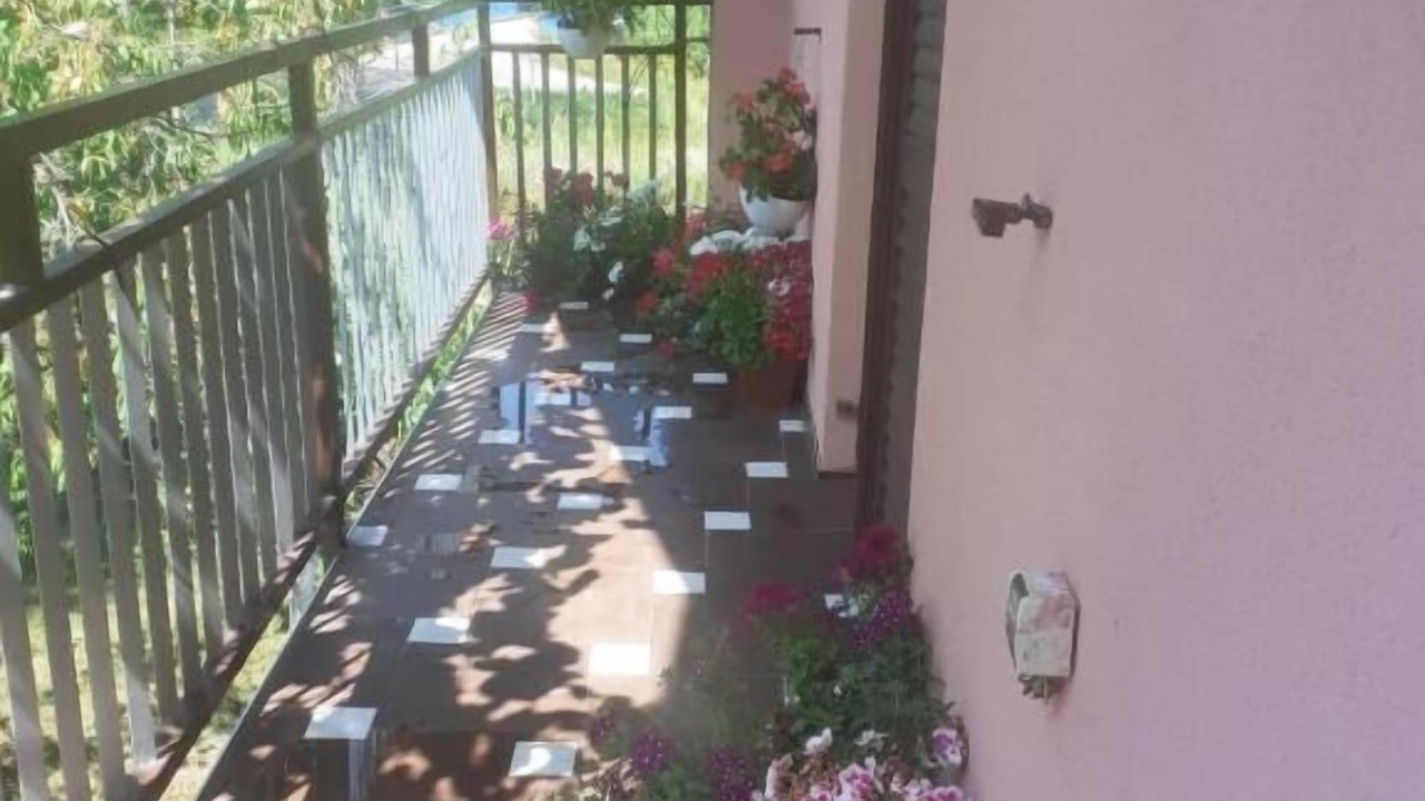 Photo of Outdoor in Plaski