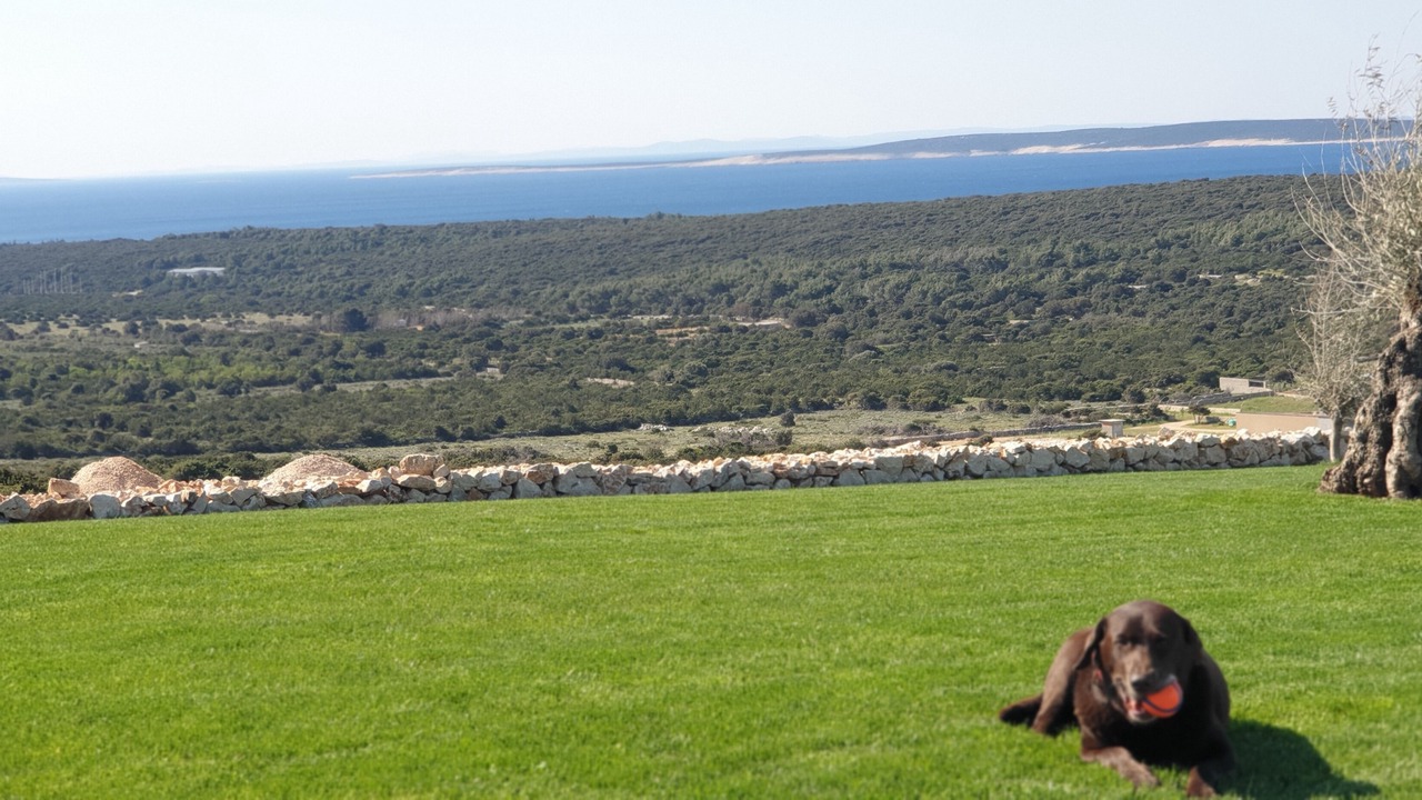 Photo of Outdoor in Kolan