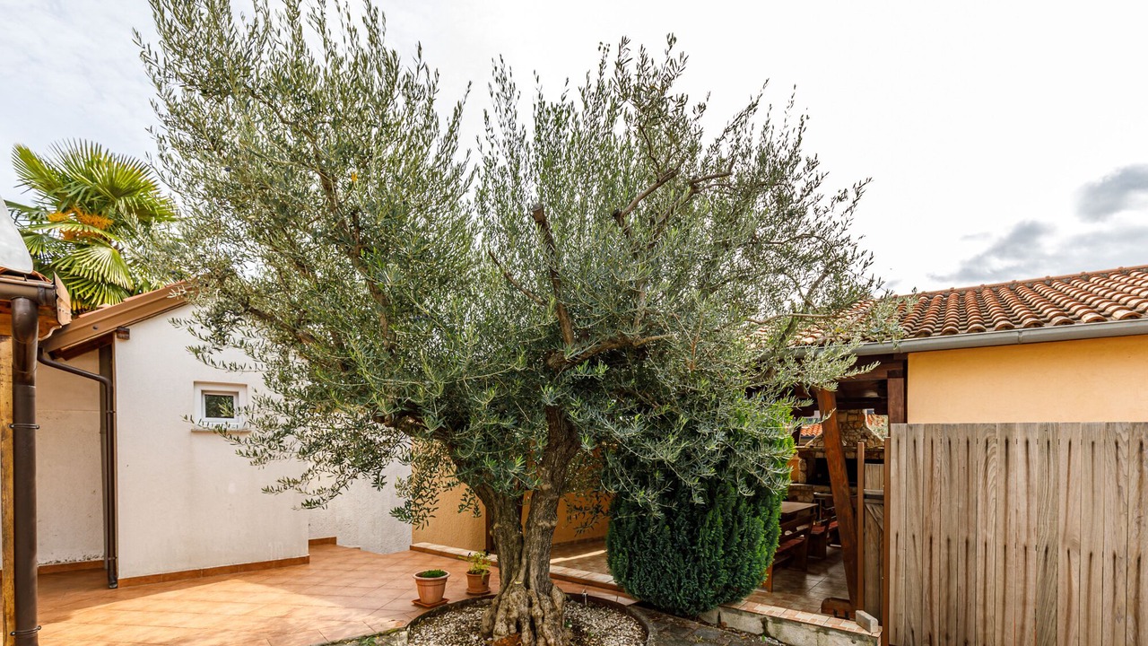 Photo of Patio Balcony in Kosinozici