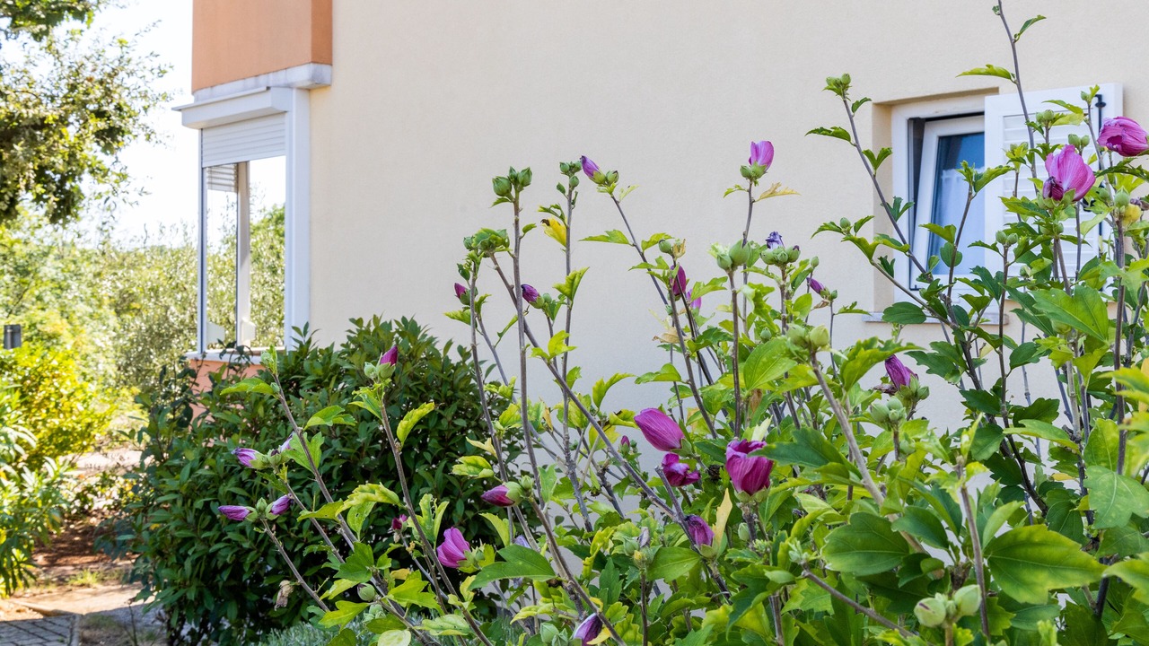 Photo of Outdoor in Fiorini