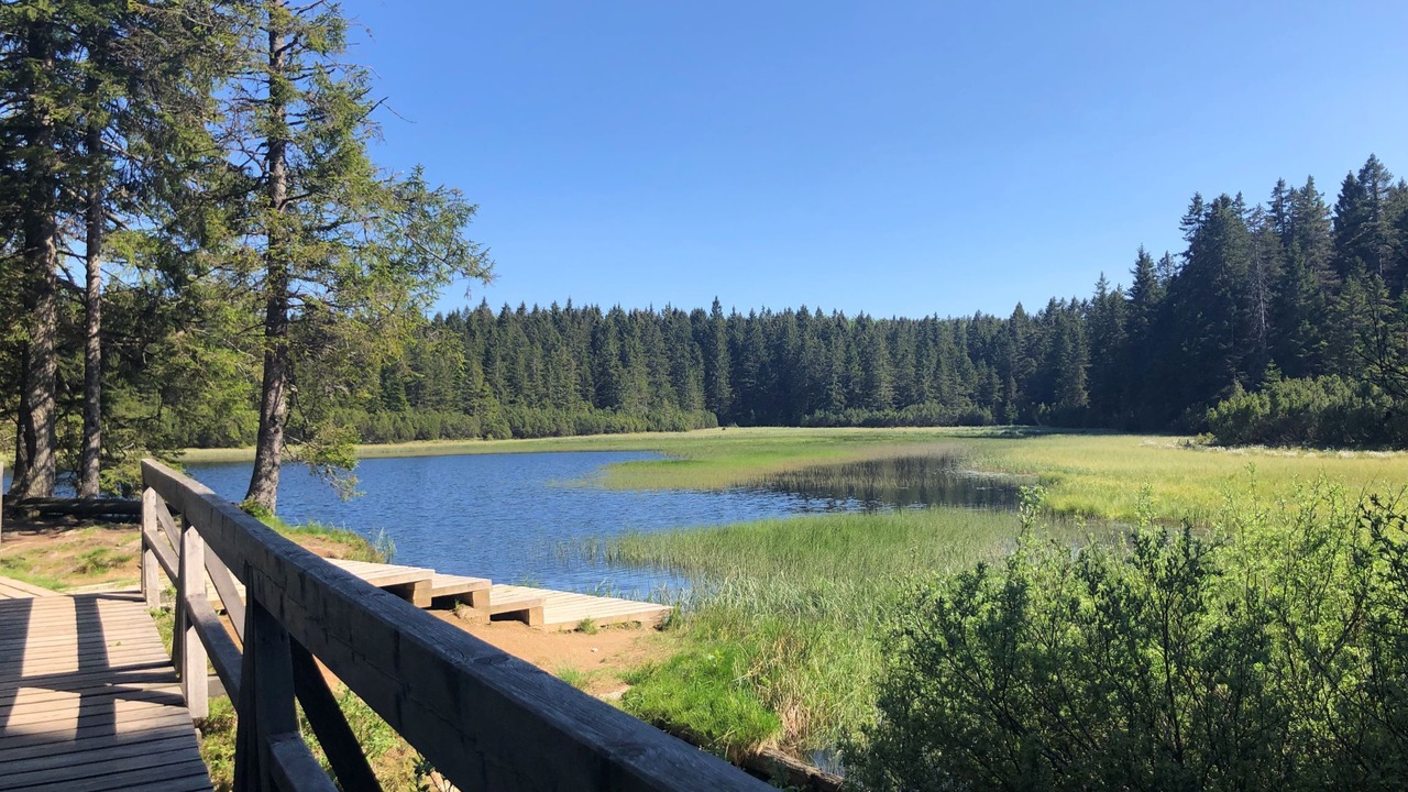 Photo of Outdoor in Pohorje