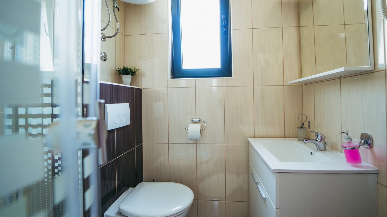 Photo of Bathroom in Promajna