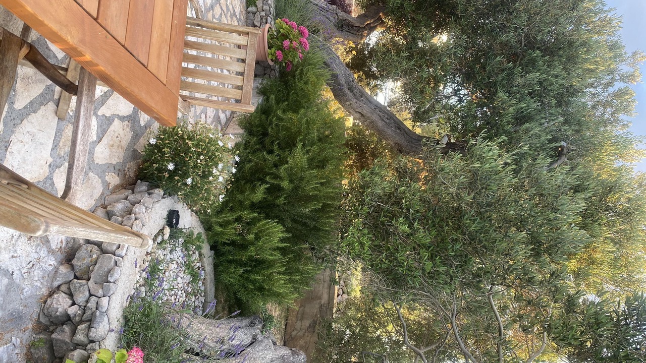 Photo of Outdoor in Jakisnica