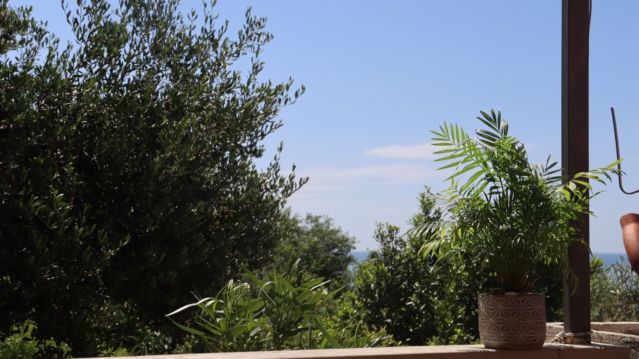 Photo of Others in Dubrovnik