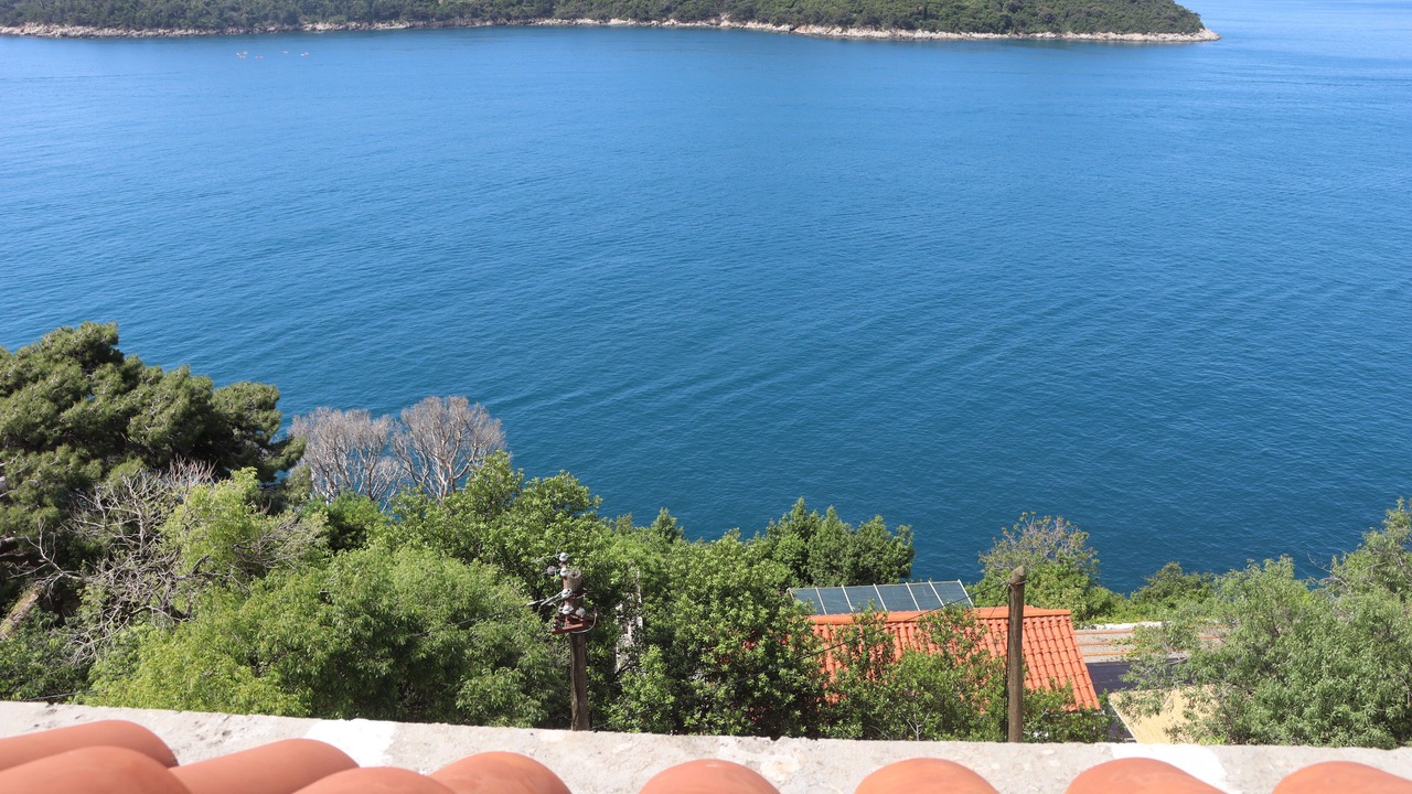 Photo of Others in Dubrovnik