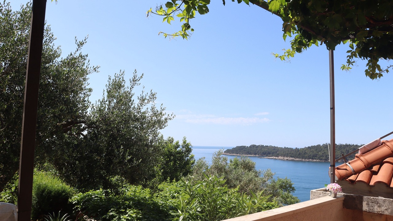 Photo of Others in Dubrovnik