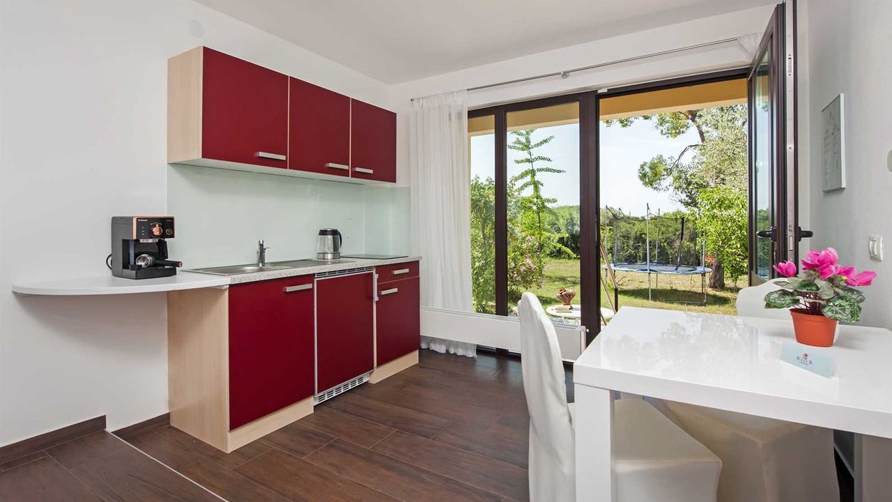 Photo of Kitchen in Borik