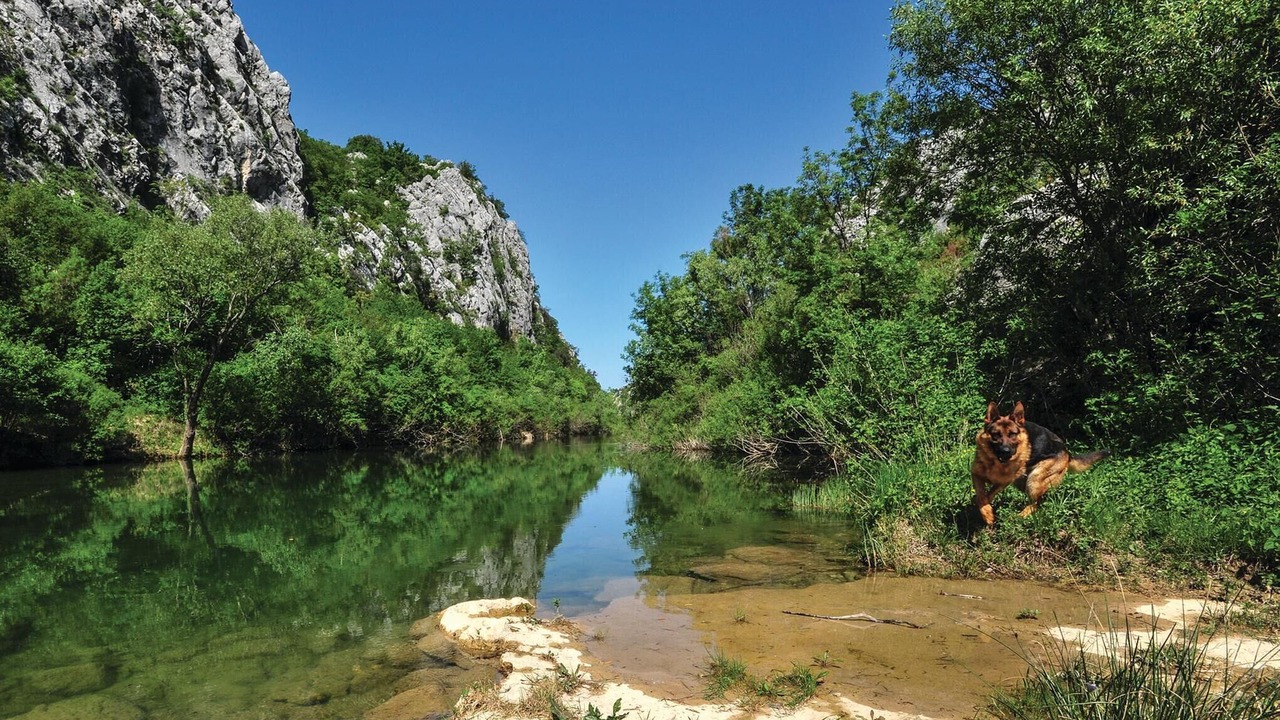 Photo of Others in Srijane