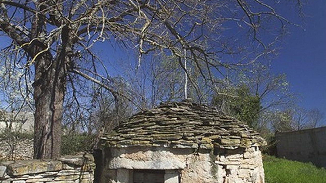 Photo of Others in Tinjan