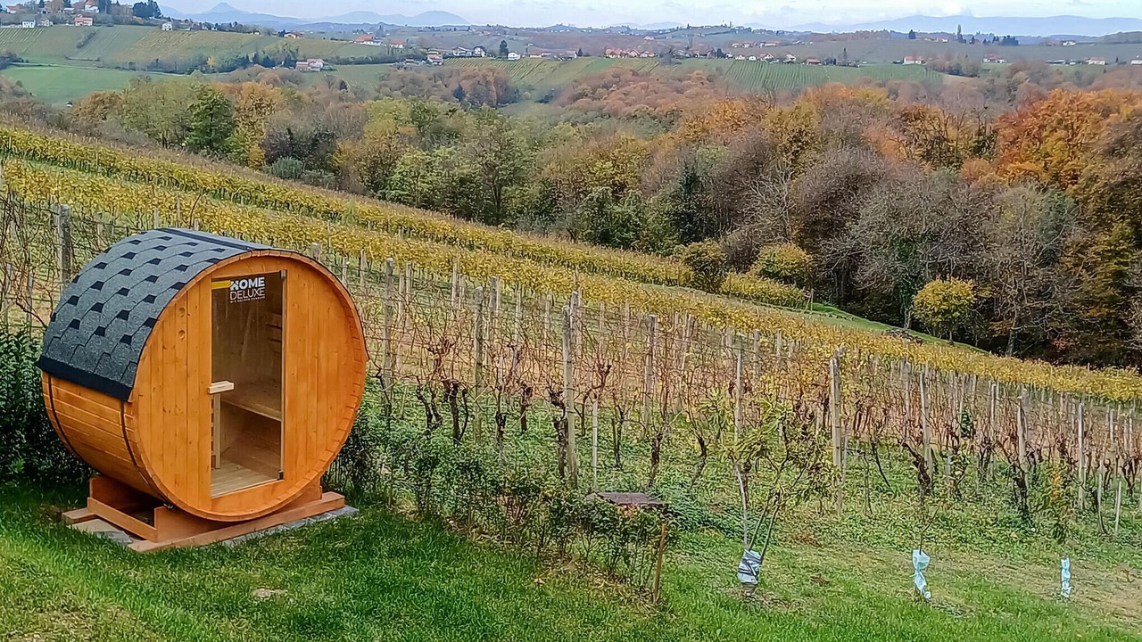Photo of Bedroom in Strigova