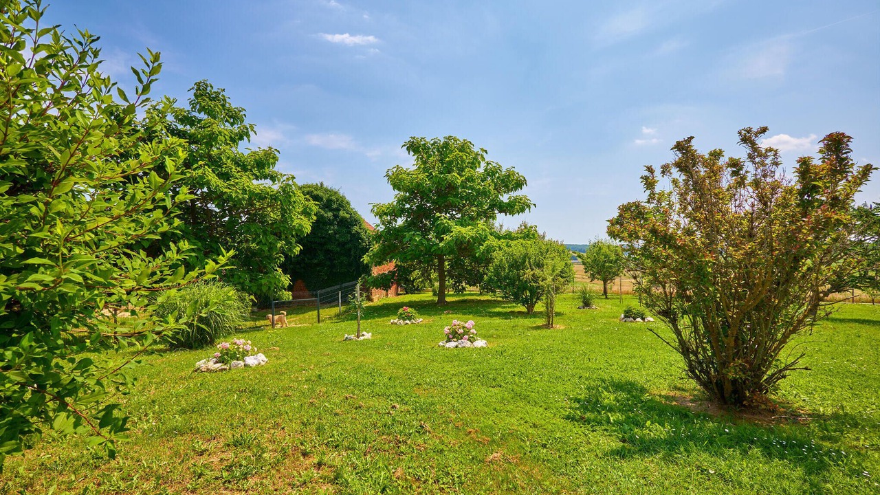Photo of Others in Krizevci