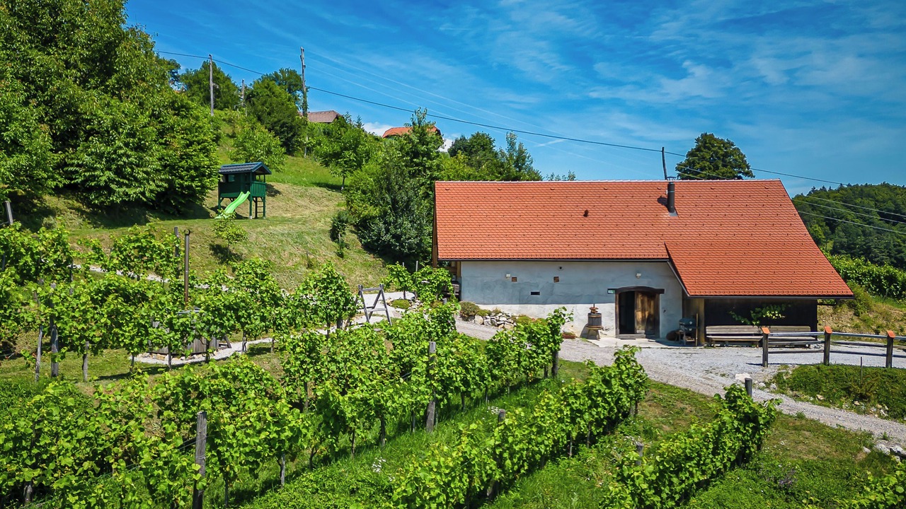 Photo of Outdoor in Srednje Grcevje