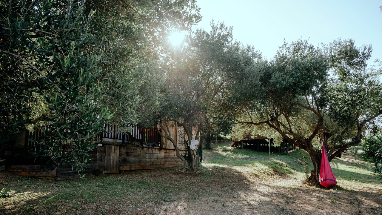 Photo of Outdoor in Ljubac