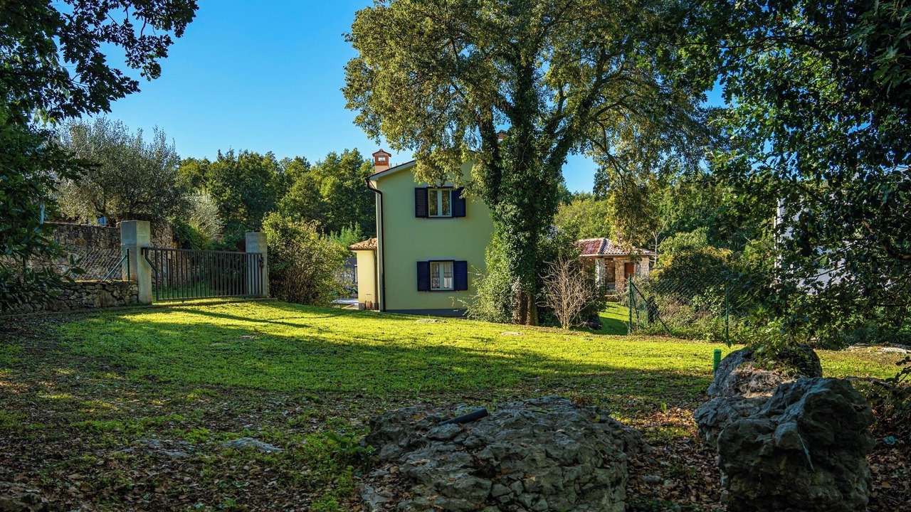 Photo of Outdoor in Boljevici