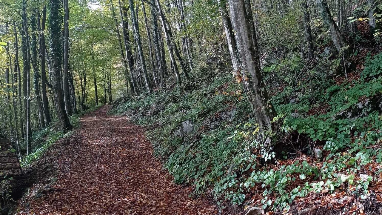 Photo of Outdoor in Generalski Stol