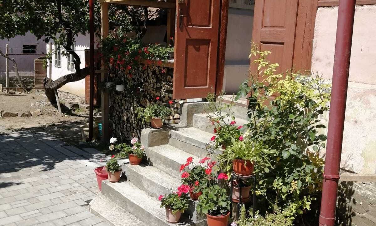 Photo of Outdoor in Saliste