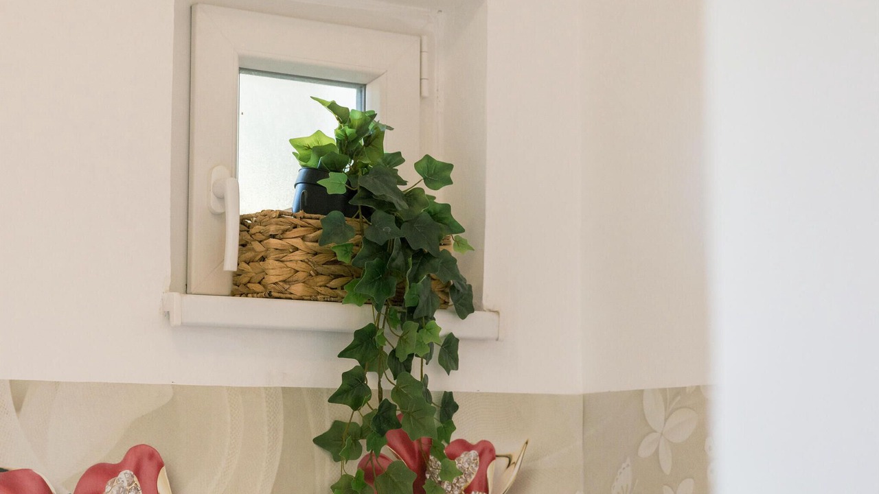 Photo of Bathroom in Finida