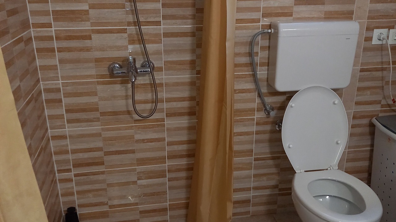 Photo of Bathroom in Petrovaradin