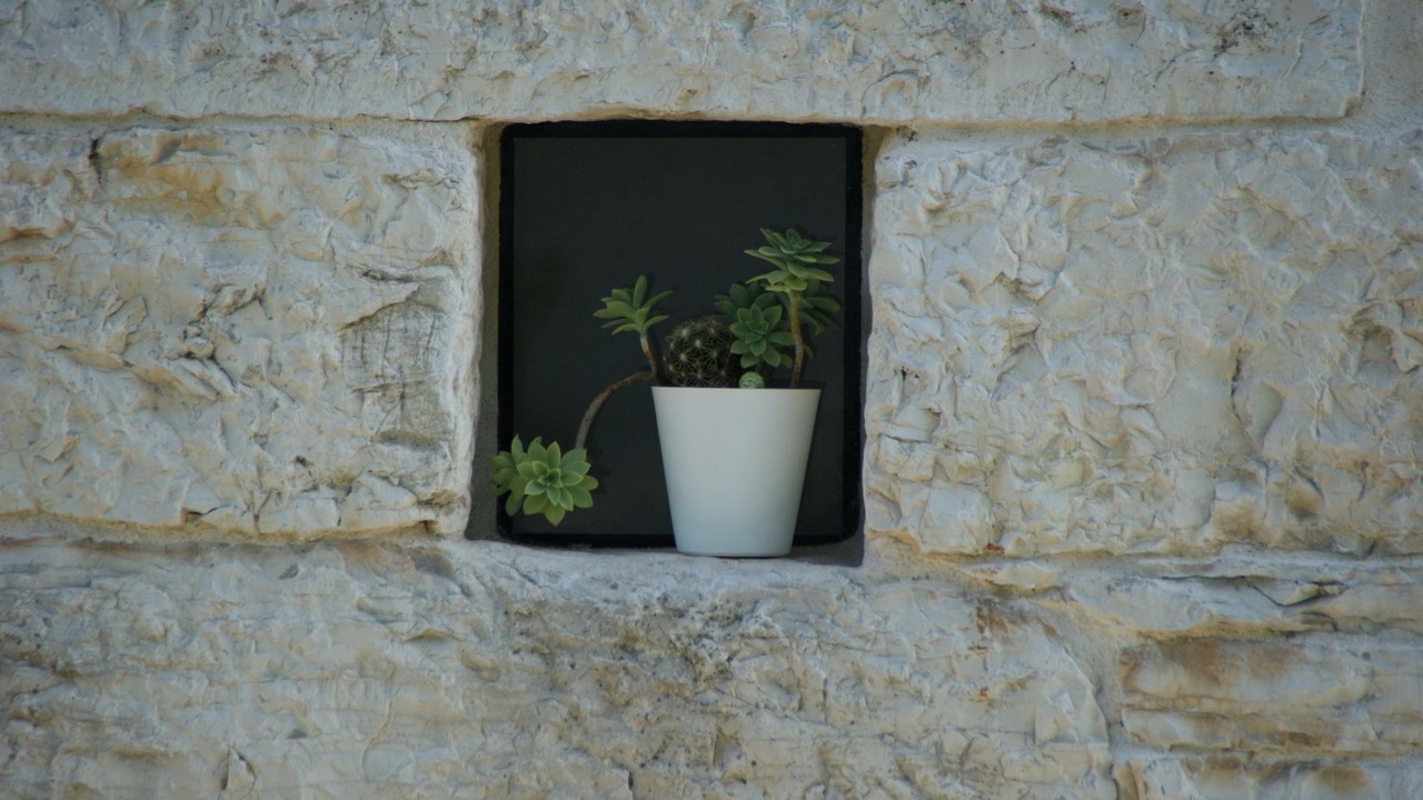 Photo of Outdoor in Vela Traba