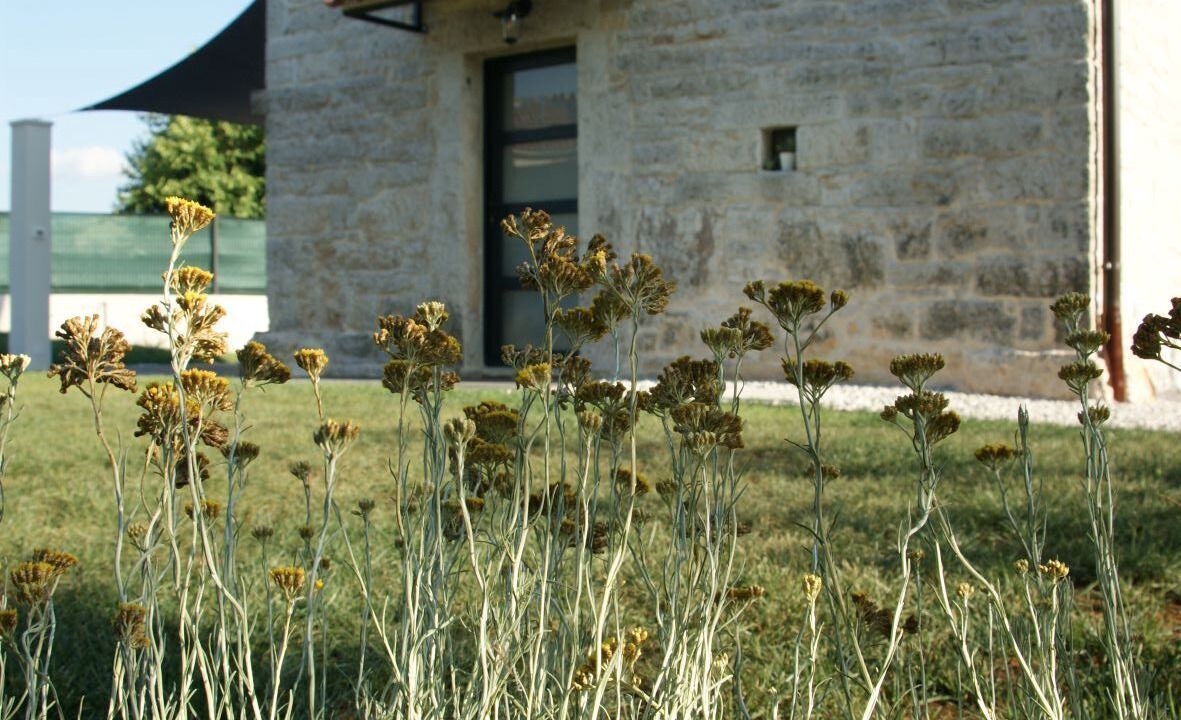 Photo of Outdoor in Vela Traba
