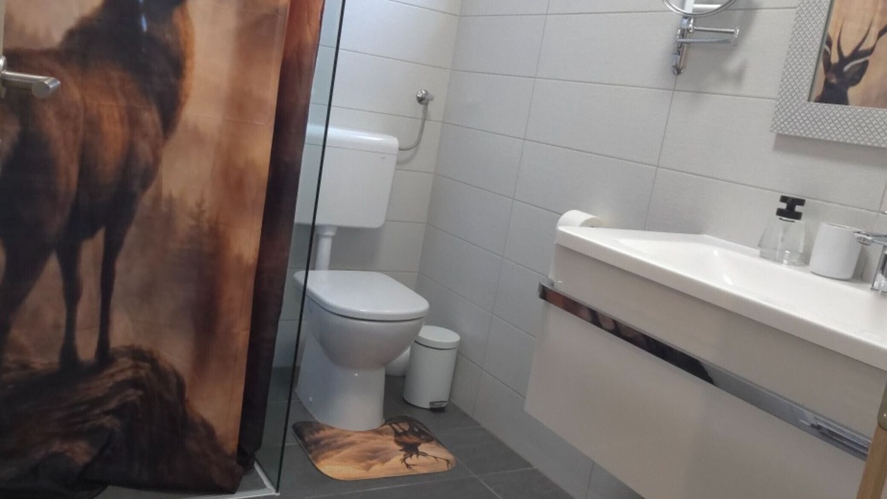 Photo of Bathroom in Karanac