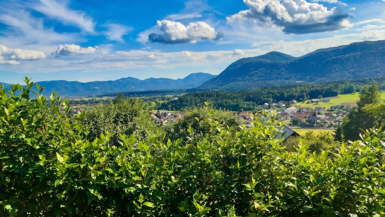 Photo of Others in Hrastnik