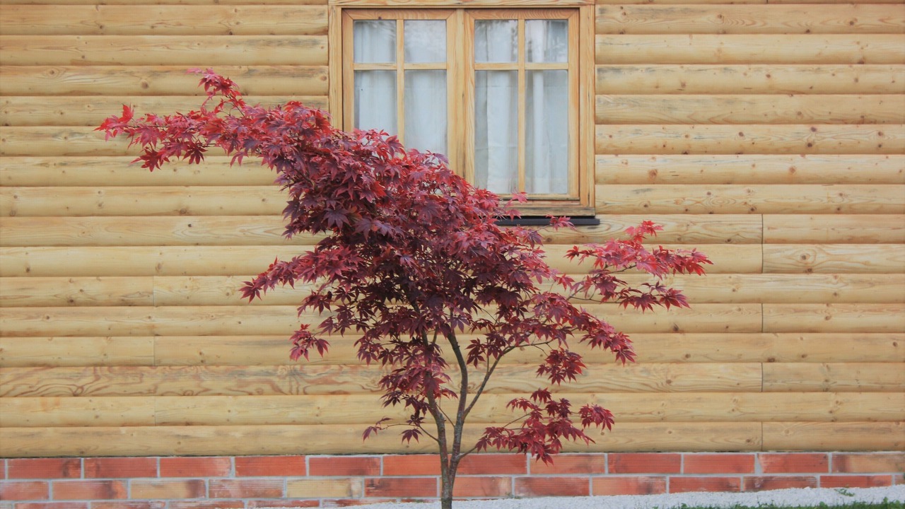 Photo of Outdoor in Breznik Plesivicki