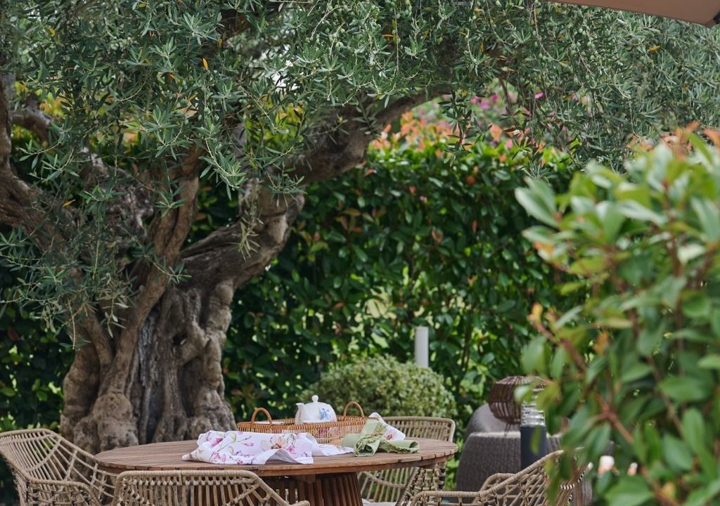 Photo of Outdoor in Vilanija
