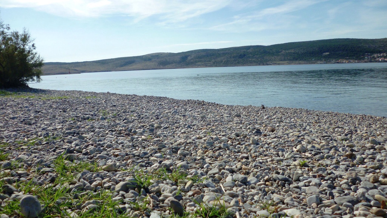 Photo of Others in Seline