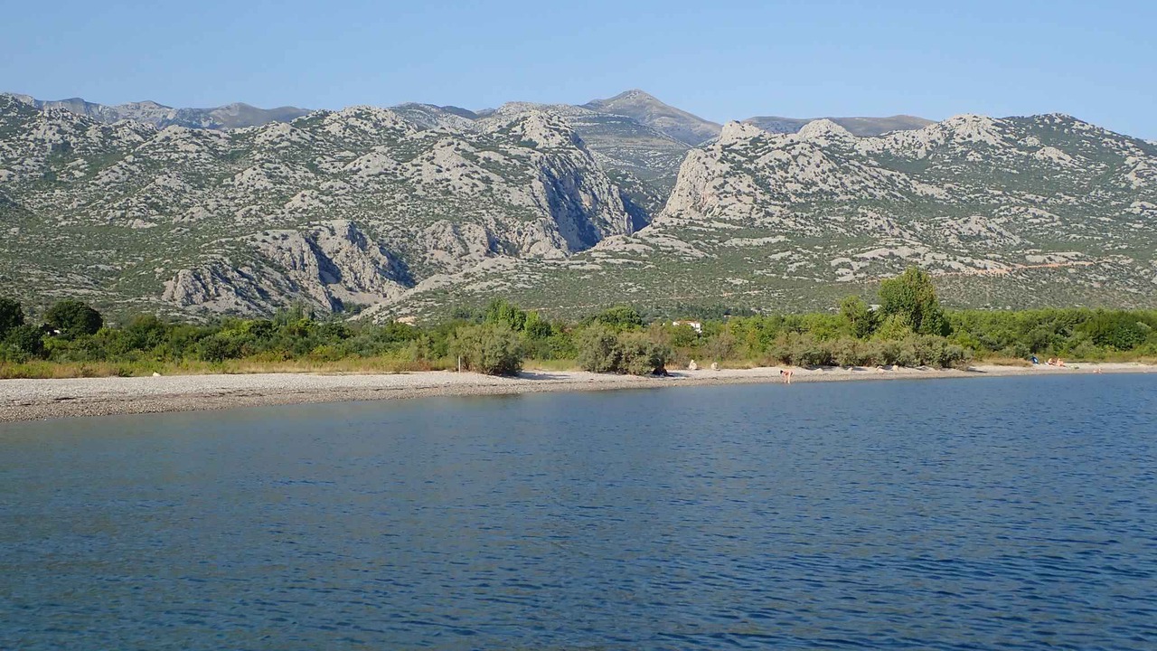 Photo of Others in Seline
