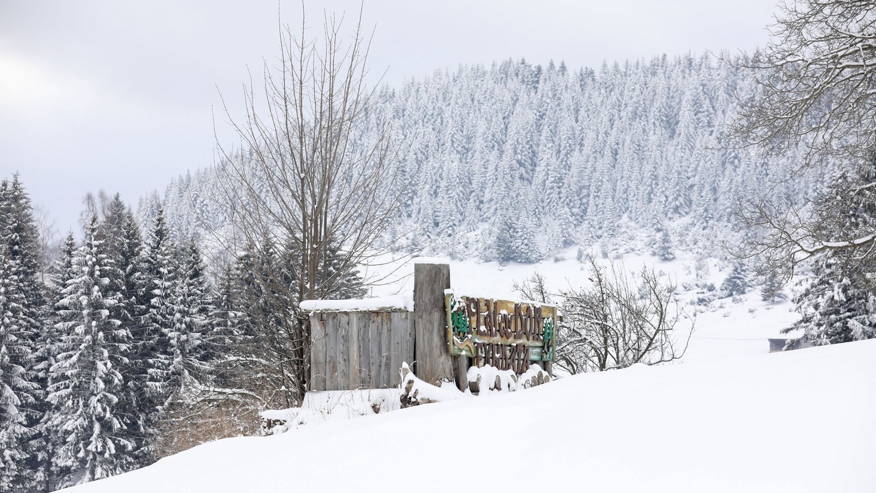 Photo of Outdoor in Moeciu de Sus